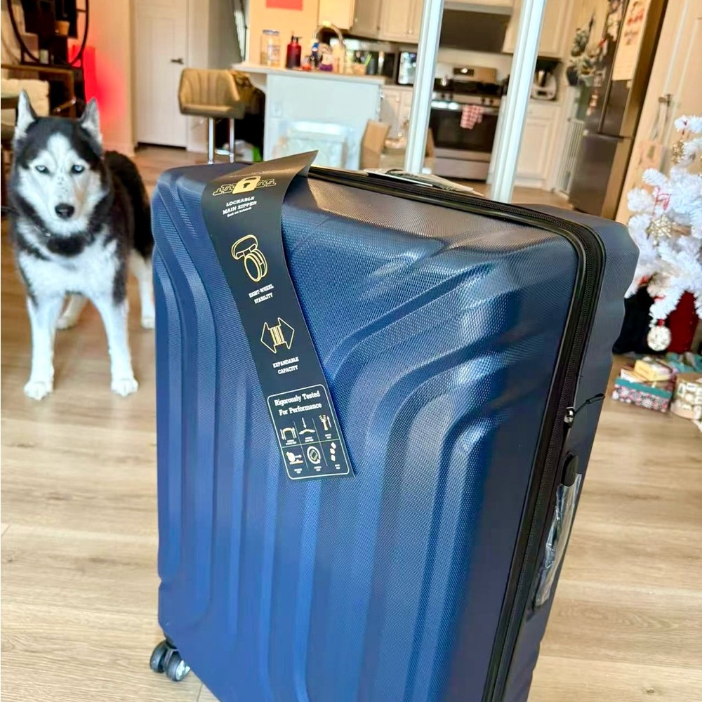 Skyway Blue Spinner Luggage